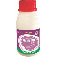 THUỐC TRỪ BỆNH - AMYLA TOP 325SC